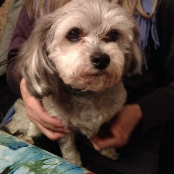 Welcome to our closet. - Picture 5 of 9